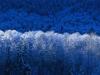 testbild